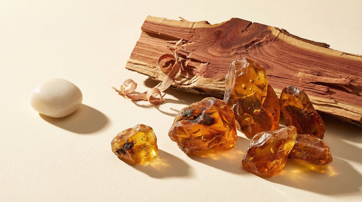 Base notes: Amber, Cedar Wood, Musk