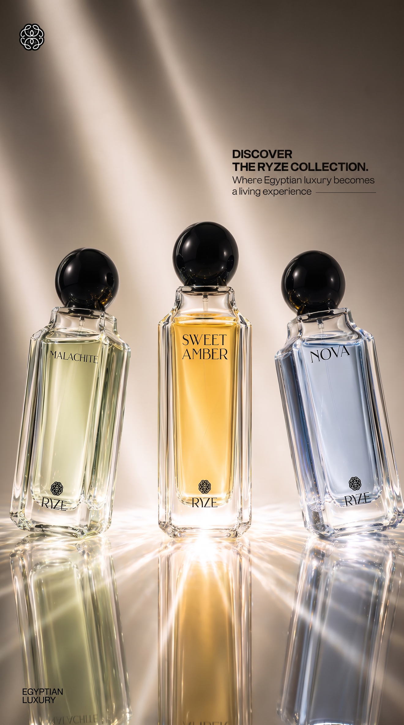 Discover the RYZE collection