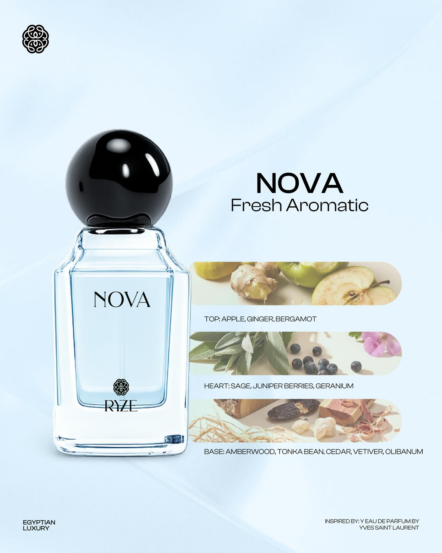 Nova fragrance notes